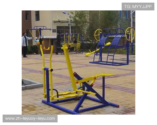 专业健身器材网站推荐及其在体育运动中的应用解析