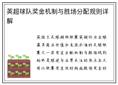 英超球队奖金机制与胜场分配规则详解